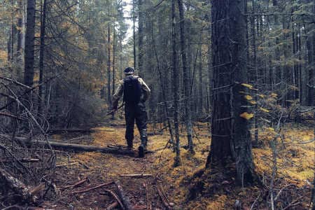 Купить диплом Егеря, лесника в Архангельске