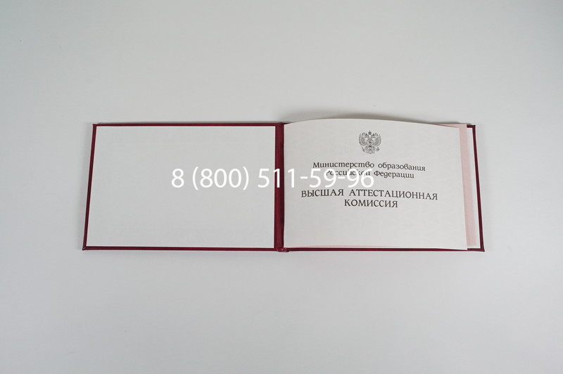 Диплом доктора наук 1995-2006 года в Архангельске Диплом доктора наук 1995-2006 года в Архангельске